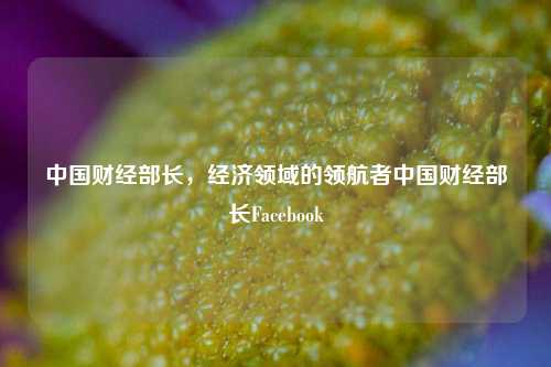 中国财经部长，经济领域的领航者中国财经部长Facebook-第1张图片-中国财经