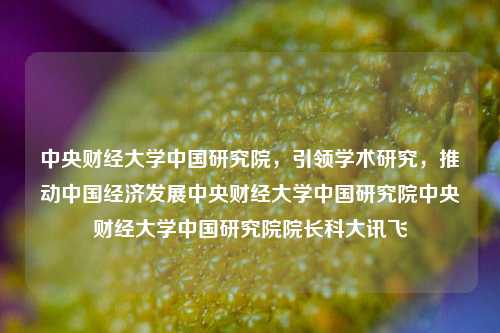 中央财经大学中国研究院，引领学术研究，推动中国经济发展中央财经大学中国研究院中央财经大学中国研究院院长科大讯飞-第1张图片-中国财经