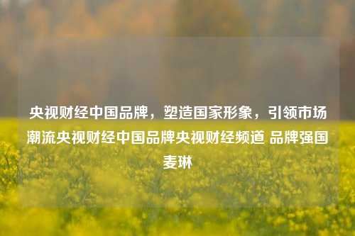 央视财经中国品牌，塑造国家形象，引领市场潮流央视财经中国品牌央视财经频道 品牌强国麦琳-第1张图片-中国财经