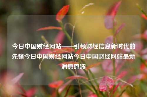 今日中国财经网站——引领财经信息新时代的先锋今日中国财经网站今日中国财经网站最新消息恩波-第1张图片-中国财经