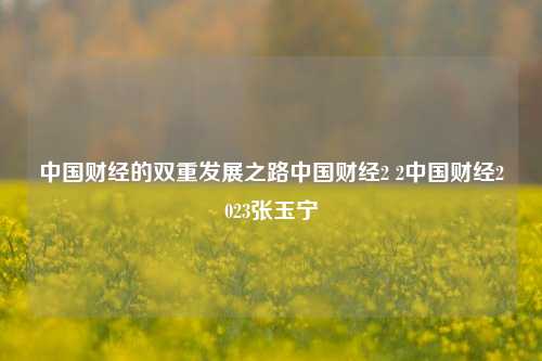 中国财经的双重发展之路中国财经2 2中国财经2023张玉宁-第1张图片-中国财经