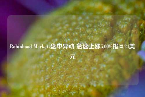 Robinhood Markets盘中异动 急速上涨5.00%报38.24美元-第1张图片-中国财经