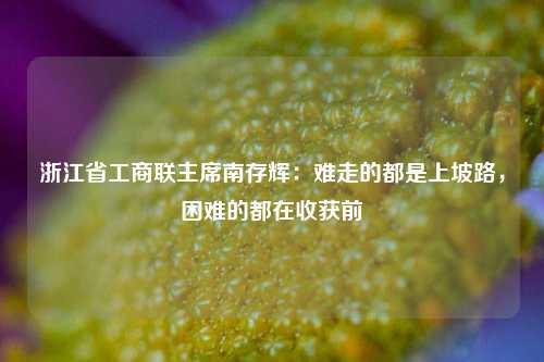 浙江省工商联主席南存辉：难走的都是上坡路，困难的都在收获前-第1张图片-中国财经