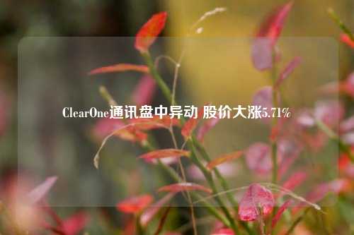 ClearOne通讯盘中异动 股价大涨5.71%-第1张图片-中国财经