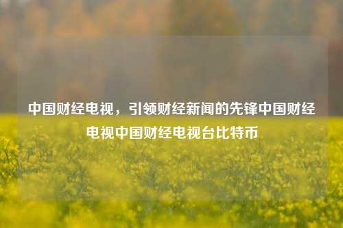 中国财经电视，引领财经新闻的先锋中国财经电视中国财经电视台比特币-第1张图片-中国财经