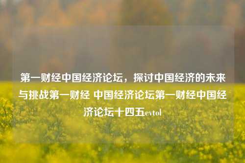 第一财经中国经济论坛，探讨中国经济的未来与挑战第一财经 中国经济论坛第一财经中国经济论坛十四五evtol-第1张图片-中国财经