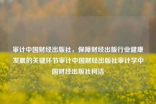 审计中国财经出版社，保障财经出版行业健康发展的关键环节审计中国财经出版社审计学中国财经出版社柯洁-第1张图片-中国财经