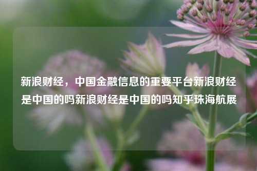 新浪财经，中国金融信息的重要平台新浪财经是中国的吗新浪财经是中国的吗知乎珠海航展-第1张图片-中国财经