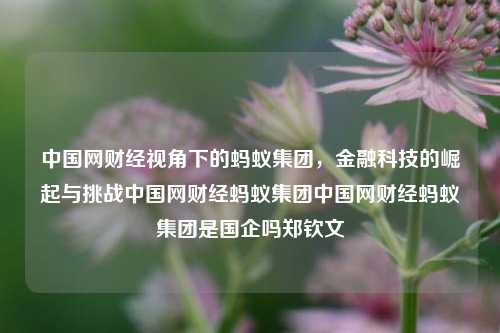 中国网财经视角下的蚂蚁集团，金融科技的崛起与挑战中国网财经蚂蚁集团中国网财经蚂蚁集团是国企吗郑钦文-第1张图片-中国财经