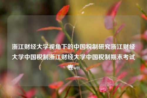 浙江财经大学视角下的中国税制研究浙江财经大学中国税制浙江财经大学中国税制期末考试卷wtt-第1张图片-中国财经