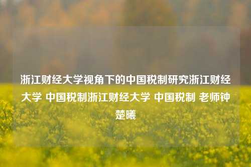 浙江财经大学视角下的中国税制研究浙江财经大学 中国税制浙江财经大学 中国税制 老师钟楚曦-第1张图片-中国财经