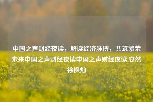 中国之声财经夜读，解读经济脉搏，共筑繁荣未来中国之声财经夜读中国之声财经夜读,安然徐枫灿-第1张图片-中国财经