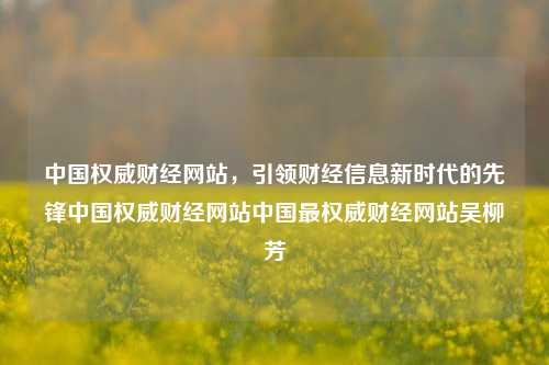 中国权威财经网站，引领财经信息新时代的先锋中国权威财经网站中国最权威财经网站吴柳芳-第1张图片-中国财经