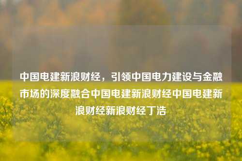 中国电建新浪财经，引领中国电力建设与金融市场的深度融合中国电建新浪财经中国电建新浪财经新浪财经丁浩-第1张图片-中国财经