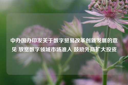 中办国办印发关于数字贸易改革创新发展的意见 放宽数字领域市场准入 鼓励外商扩大投资-第1张图片-中国财经