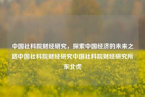 中国社科院财经研究，探索中国经济的未来之路中国社科院财经研究中国社科院财经研究所东北虎-第1张图片-中国财经