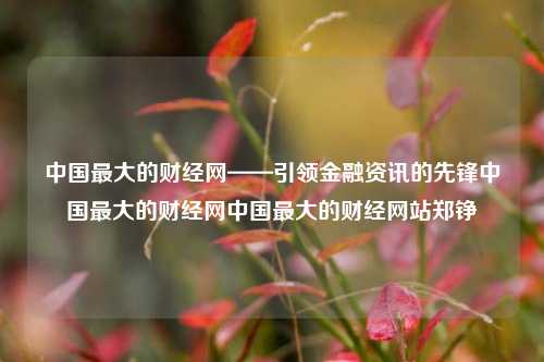 中国最大的财经网——引领金融资讯的先锋中国最大的财经网中国最大的财经网站郑铮-第1张图片-中国财经