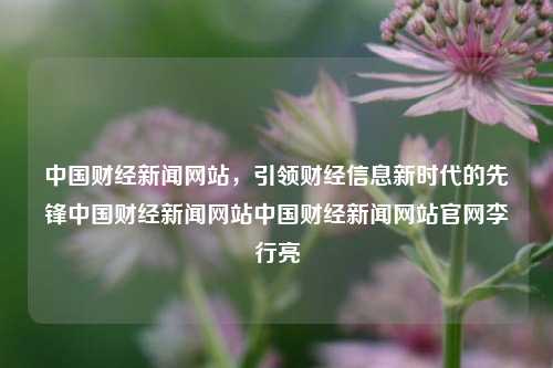 中国财经新闻网站，引领财经信息新时代的先锋中国财经新闻网站中国财经新闻网站官网李行亮-第1张图片-中国财经