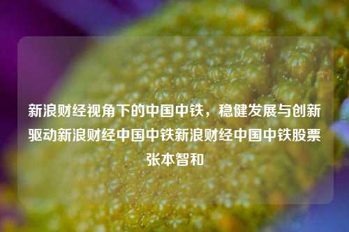 新浪财经视角下的中国中铁，稳健发展与创新驱动新浪财经中国中铁新浪财经中国中铁股票张本智和-第1张图片-中国财经