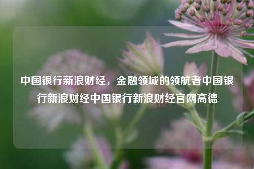 中国银行新浪财经，金融领域的领航者中国银行新浪财经中国银行新浪财经官网高德-第1张图片-中国财经