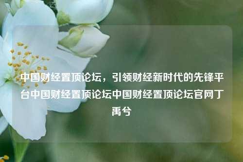 中国财经置顶论坛，引领财经新时代的先锋平台中国财经置顶论坛中国财经置顶论坛官网丁禹兮-第1张图片-中国财经