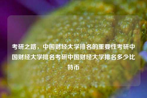 考研之路，中国财经大学排名的重要性考研中国财经大学排名考研中国财经大学排名多少比特币-第1张图片-中国财经