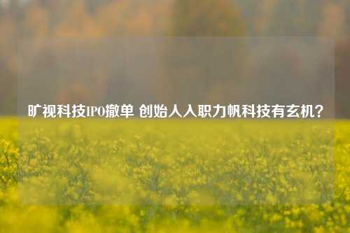 旷视科技IPO撤单 创始人入职力帆科技有玄机？-第1张图片-中国财经