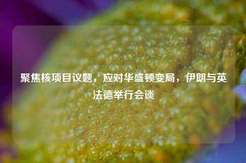 聚焦核项目议题，应对华盛顿变局，伊朗与英法德举行会谈-第1张图片-中国财经