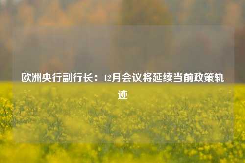 欧洲央行副行长：12月会议将延续当前政策轨迹-第1张图片-中国财经