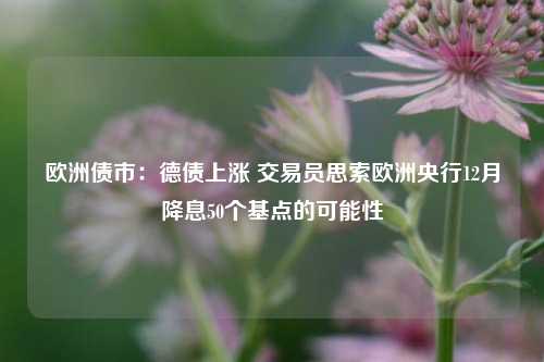 欧洲债市：德债上涨 交易员思索欧洲央行12月降息50个基点的可能性-第1张图片-中国财经