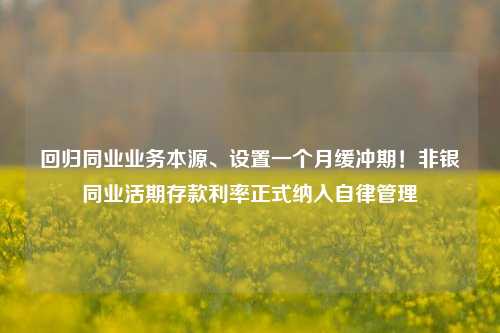 回归同业业务本源、设置一个月缓冲期！非银同业活期存款利率正式纳入自律管理-第1张图片-中国财经