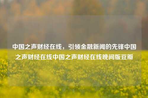 中国之声财经在线，引领金融新闻的先锋中国之声财经在线中国之声财经在线晚间版豆瓣-第1张图片-中国财经