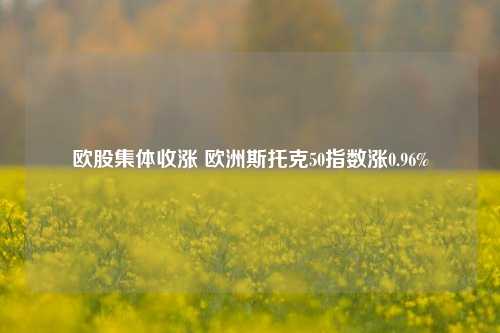 欧股集体收涨 欧洲斯托克50指数涨0.96%-第1张图片-中国财经