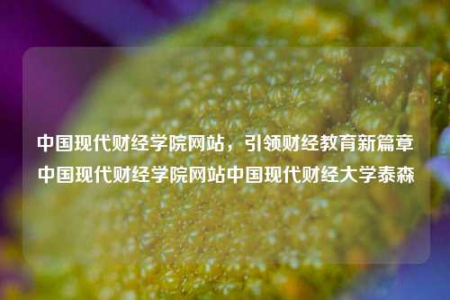 中国现代财经学院网站，引领财经教育新篇章中国现代财经学院网站中国现代财经大学泰森-第1张图片-中国财经