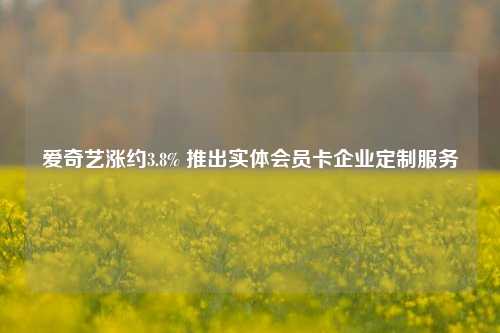 爱奇艺涨约3.8% 推出实体会员卡企业定制服务