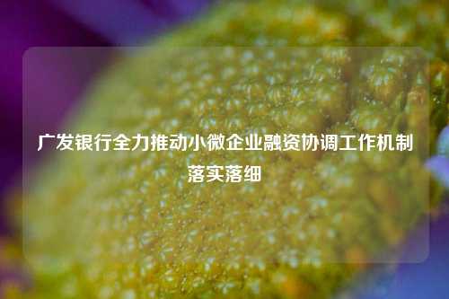 广发银行全力推动小微企业融资协调工作机制落实落细