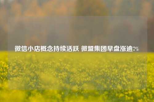 微信小店概念持续活跃 微盟集团早盘涨逾7%