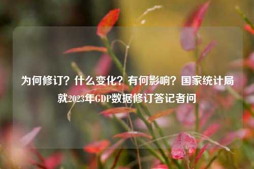 为何修订？什么变化？有何影响？国家统计局就2023年GDP数据修订答记者问