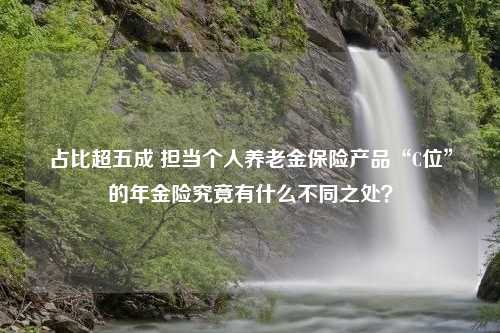 占比超五成 担当个人养老金保险产品“C位”的年金险究竟有什么不同之处？