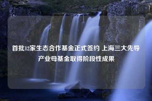 首批12家生态合作基金正式签约 上海三大先导产业母基金取得阶段性成果