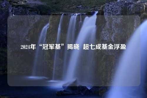 2024年“冠军基”揭晓  超七成基金浮盈