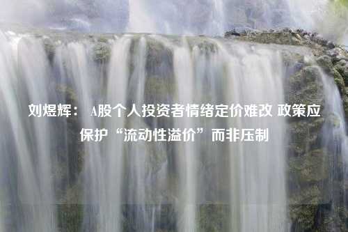 刘煜辉： A股个人投资者情绪定价难改 政策应保护“流动性溢价”而非压制