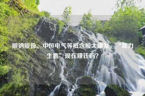 顺钠股份、中恒电气等概念股大爆发，“算力生意”现在赚钱吗？