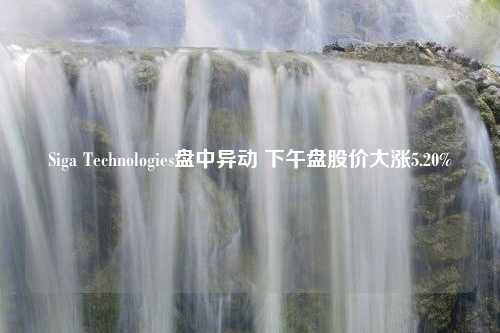 Siga Technologies盘中异动 下午盘股价大涨5.20%