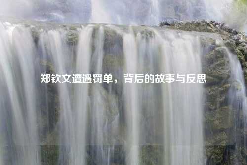 郑钦文遭遇罚单，背后的故事与反思