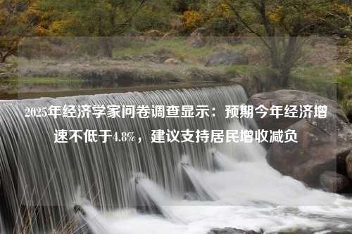 2025年经济学家问卷调查显示：预期今年经济增速不低于4.8%，建议支持居民增收减负