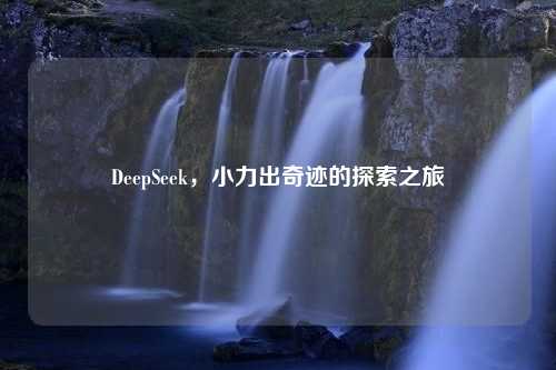 DeepSeek，小力出奇迹的探索之旅