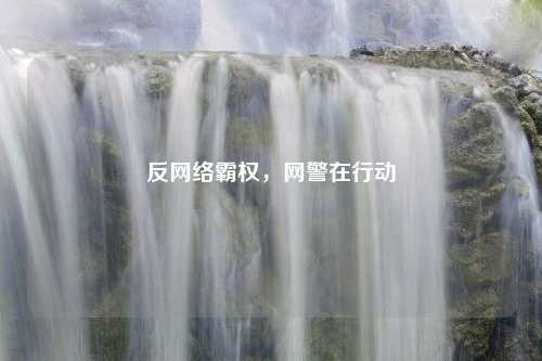 反网络霸权，网警在行动