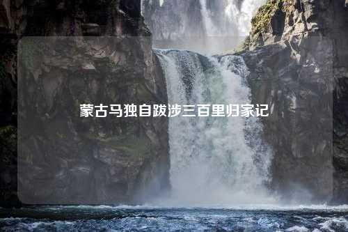 蒙古马独自跋涉三百里归家记