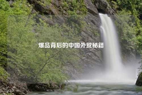 爆品背后的中国外贸秘籍